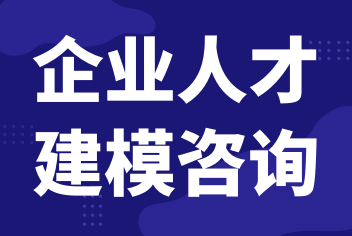 人才咨詢《人才建模咨詢》